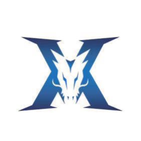 技能和比赛 技能和比赛